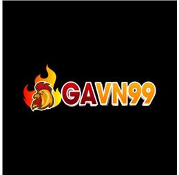 gavn99cocom