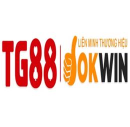 tg88agency