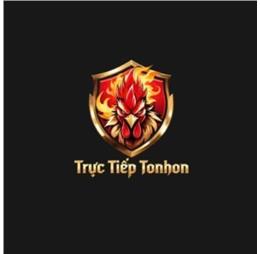 tructieptonhonnet