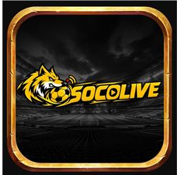 Socolive10art1